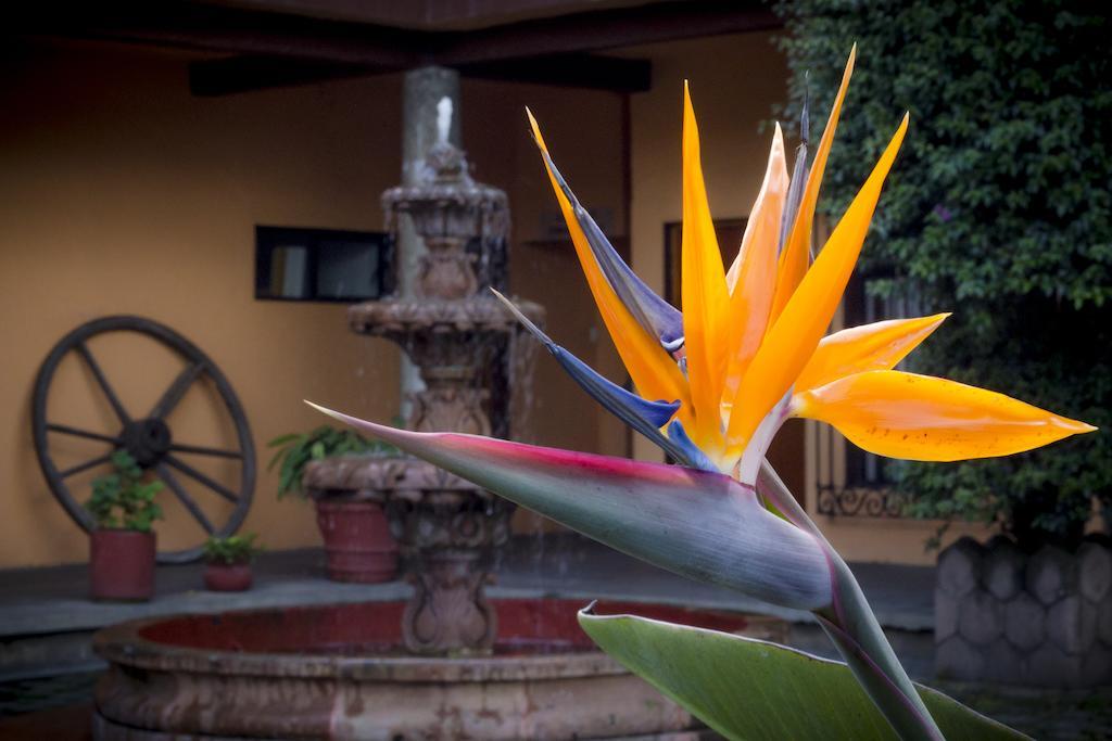 Hotel El Pueblito De Fortin Fortín de las Flores Exterior photo